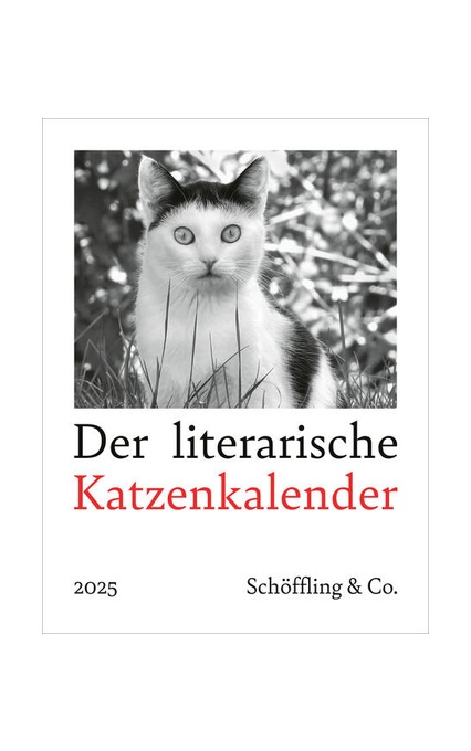 Der literarische Katzenkalender 2025