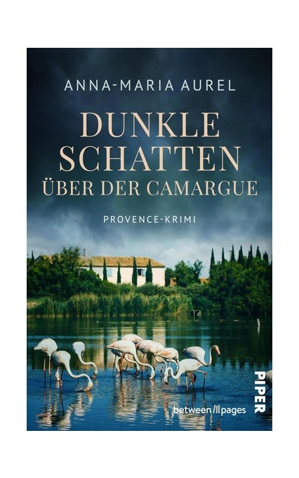 Dunkle Schatten über der Camargue
