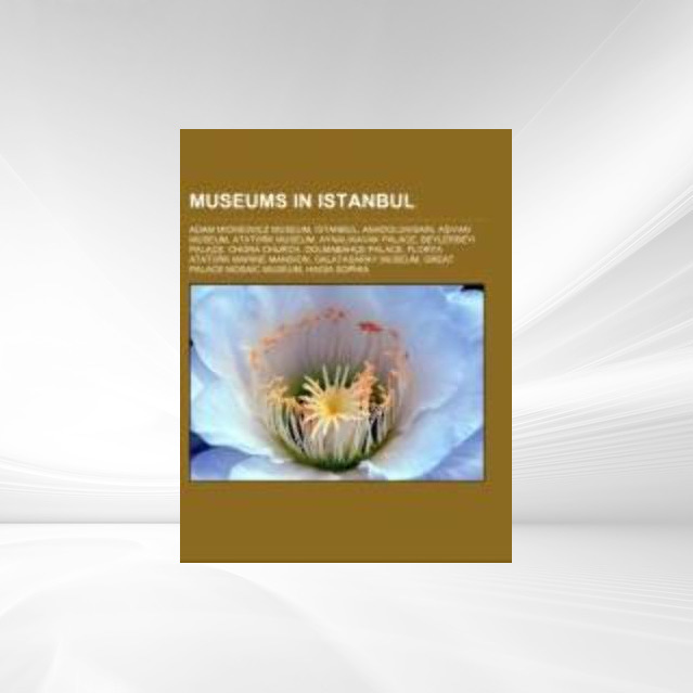 Museums in Istanbul als Taschenbuch von - 1156542537
