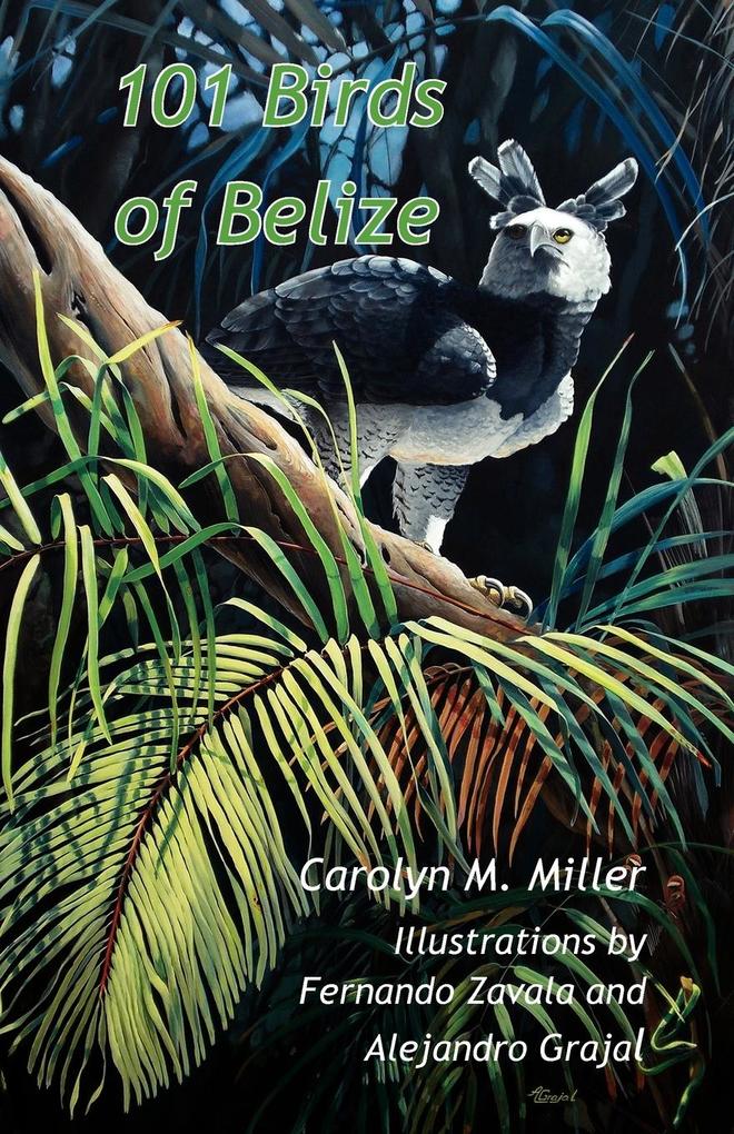 101 Birds of Belize als Buch von Carolyn M. Miller - Carolyn M. Miller