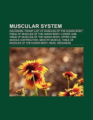 Muscular system als Taschenbuch von - 1156542138