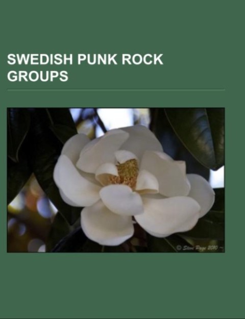 Swedish punk rock groups als Taschenbuch von - 1156795842