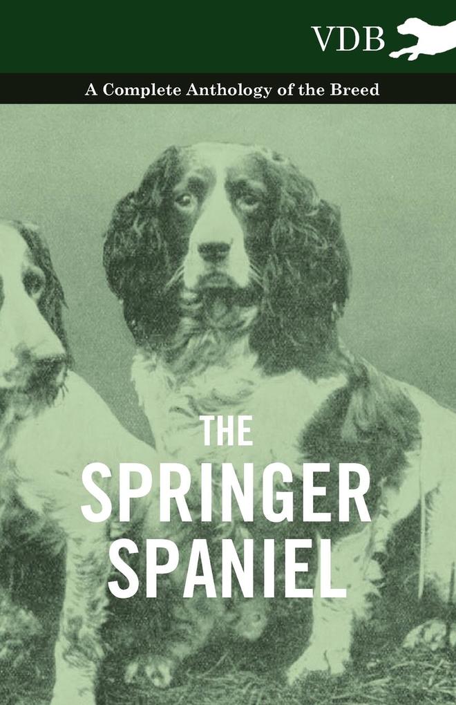 The Springer Spaniel - A Complete Anthology of the Breed als Taschenbuch von Various - 144552662X