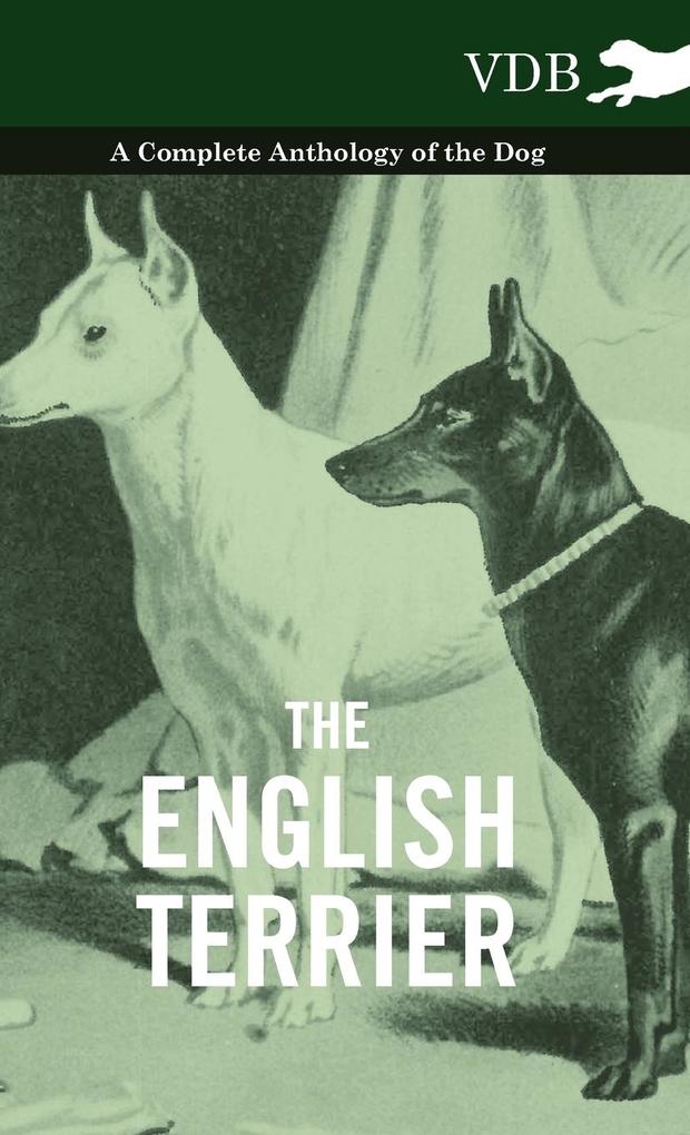 The English Terrier - A Complete Anthology of the Dog als Buch von Various - Various