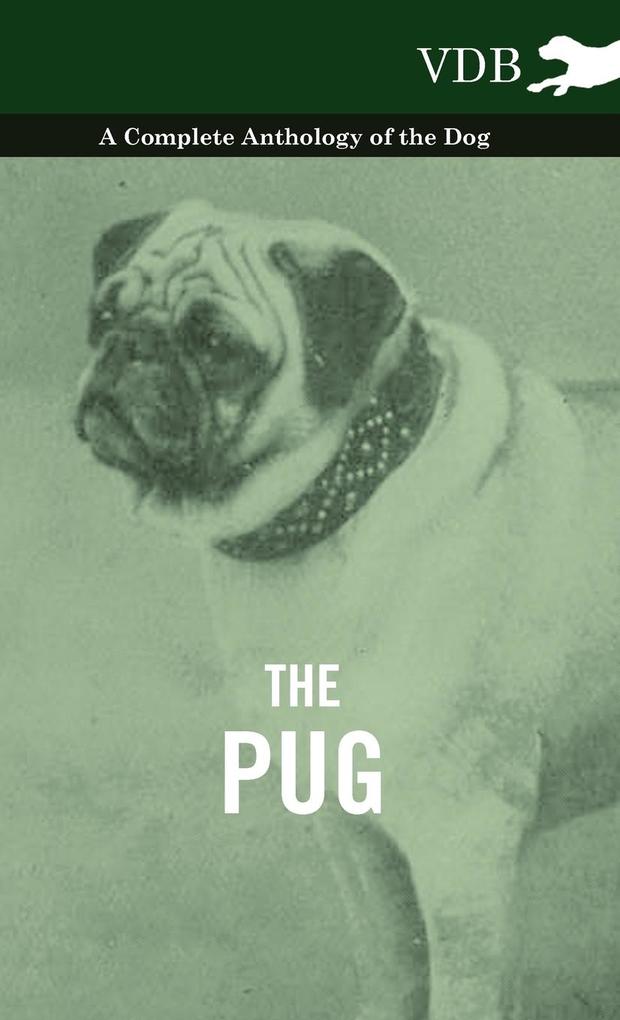 The Pug - A Complete Anthology of the Dog als Buch von Various - Various