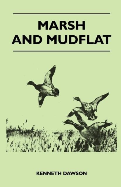 Marsh and Mudflat als Taschenbuch von Kenneth Dawson - 1446526593