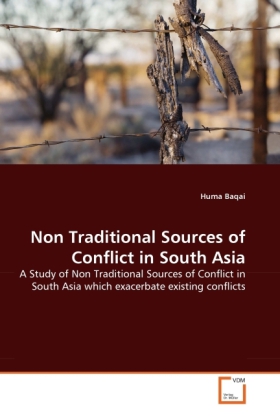 Non Traditional Sources of Conflict in South Asia als Buch von Huma Baqai - Huma Baqai