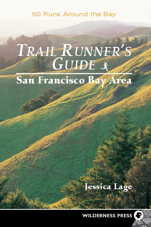 San Francisco Bay Area als eBook Download von Jessica Lage - Jessica Lage