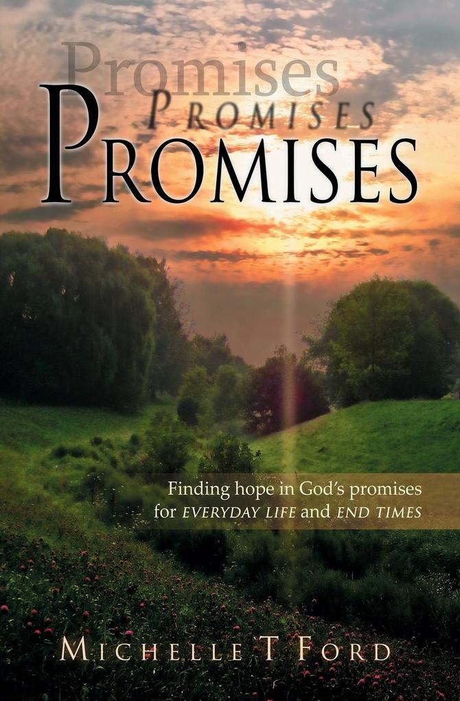 Promises, Promises, Promises als Taschenbuch von Michelle T. Ford - 1615000100