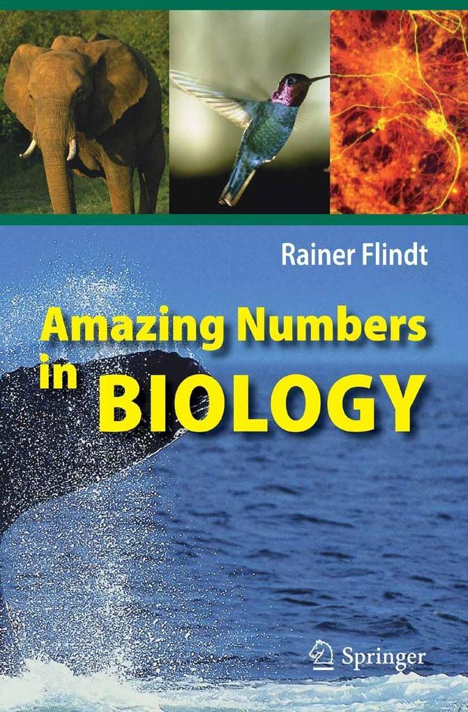 Amazing Numbers in Biology als eBook Download von Rainer Flindt - Rainer Flindt