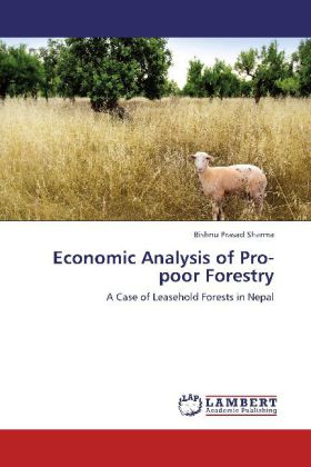 Economic Analysis of Pro-poor Forestry als Buch von Bishnu Prasad Sharma - Bishnu Prasad Sharma