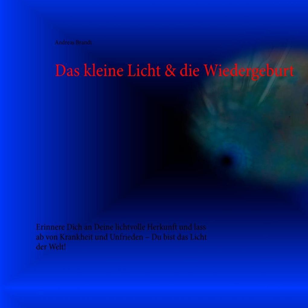 Das kleine Licht & die Wiedergeburt der Seele als eBook Download von Andreas Brandt - Andreas Brandt
