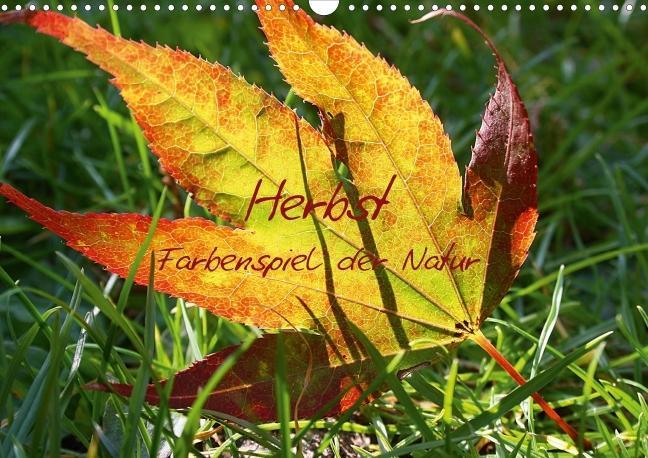 Herbst - Farbenspiel der Natur (Posterbuch DIN A3 quer) als Buch von Lilo Kapp - Lilo Kapp