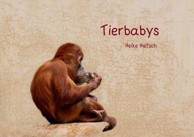 Tierbabys (Posterbuch DIN A4 quer) als Buch von Heike Hultsch - Heike Hultsch