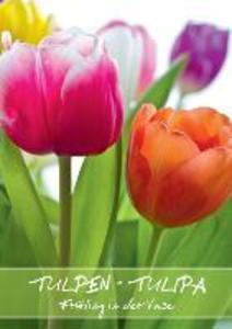 Tulpen - Tulipa (Posterbuch DIN A4 hoch) als Buch von Gerd Evermann Photography - Gerd Evermann Photography