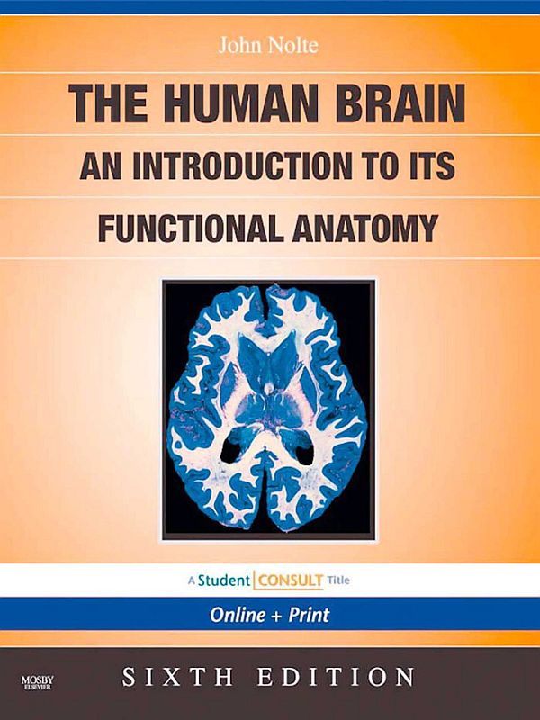 The Human Brain als eBook Download von John Nolte - John Nolte