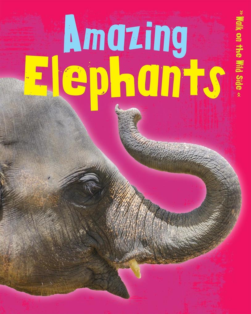 Amazing Elephants als eBook Download von Charlotte Guillain - Charlotte Guillain