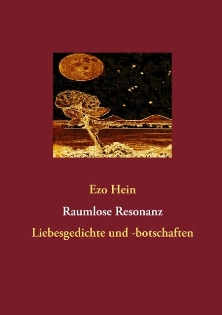 Raumlose Resonanz als eBook Download von Ezo Hein - Ezo Hein