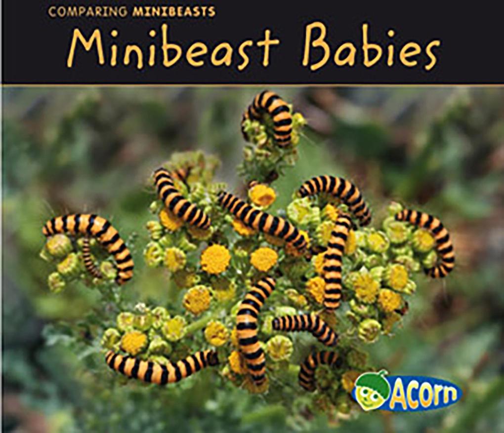 Minibeast Babies als eBook Download von Charlotte Guillain - Charlotte Guillain