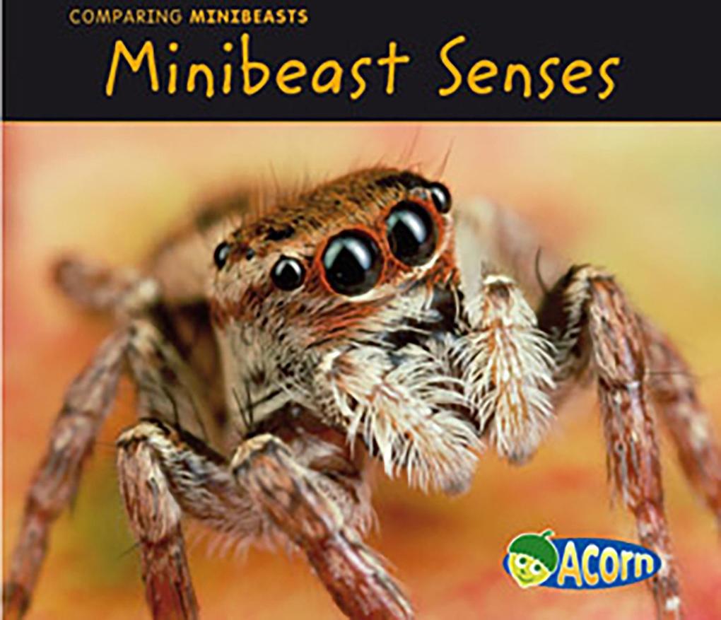 Minibeast Senses als eBook Download von Charlotte Guillain - Charlotte Guillain