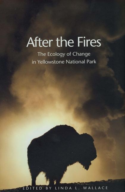 After the Fires als eBook Download von