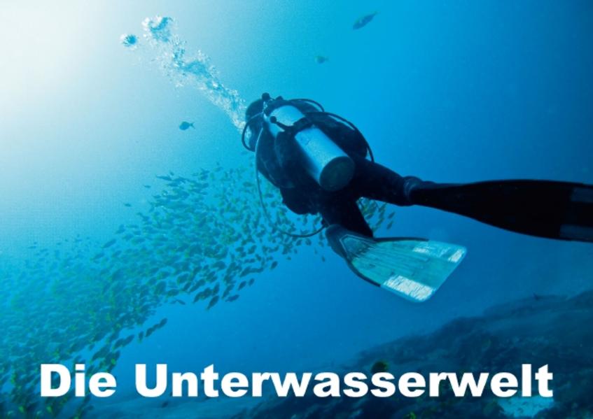 Die Unterwasserwelt (Posterbuch DIN A2 quer) als Buch von Dieter Gödecke - Dieter Gödecke