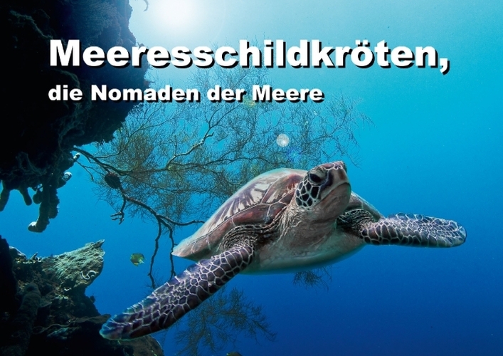 Meeresschildkröten, die Nomaden der Meere (Posterbuch DIN A3 quer) als Buch von Dieter Gödecke - Dieter Gödecke