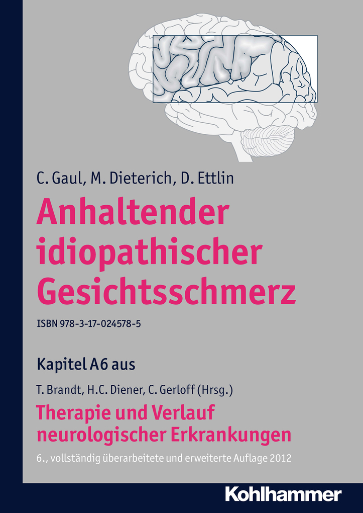 Anhaltender idiopathischer Gesichtsschmerz als eBook Download von C. Gaul, M. Dieterich, D. Ettlin - C. Gaul, M. Dieterich, D. Ettlin