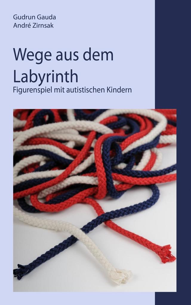 Wege aus dem Labyrinth als eBook Download von Gudrun Gauda, André Zirnsak - Gudrun Gauda, André Zirnsak