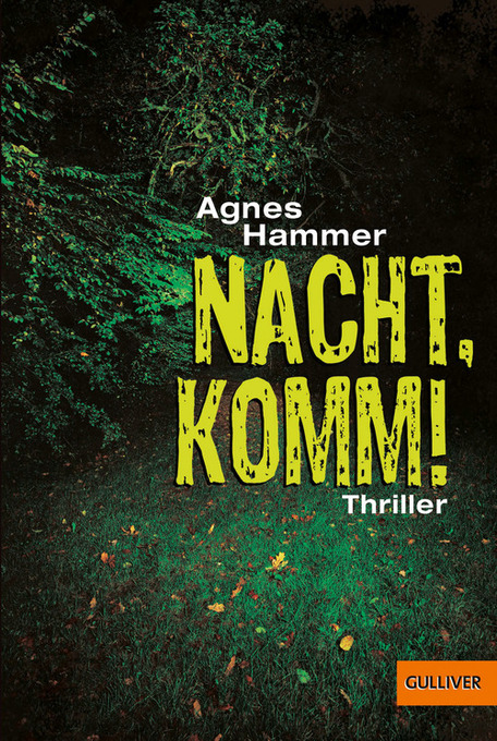 Nacht, komm! als eBook Download von Agnes Hammer - Agnes Hammer