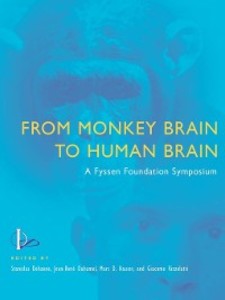 From Monkey Brain to Human Brain als eBook Download von Stanislas Dehaene, Jean-René Duhamel, Marc D. Hauser, Giacomo Rizzolatti - Stanislas Dehaene, Jean-René Duhamel, Marc D. Hauser, Giacomo Rizzolatti