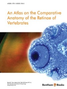 An Atlas on the Comparative Anatomy of the Retinae of Vertebrates als eBook Download von David T. Yew, Maria S. M. Wai, Winnie W. Y. Li - David T. Yew, Maria S. M. Wai, Winnie W. Y. Li