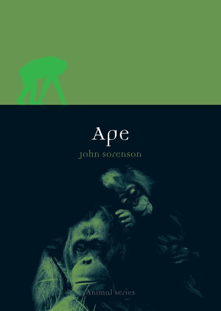 Ape als eBook Download von John Sorenson - John Sorenson