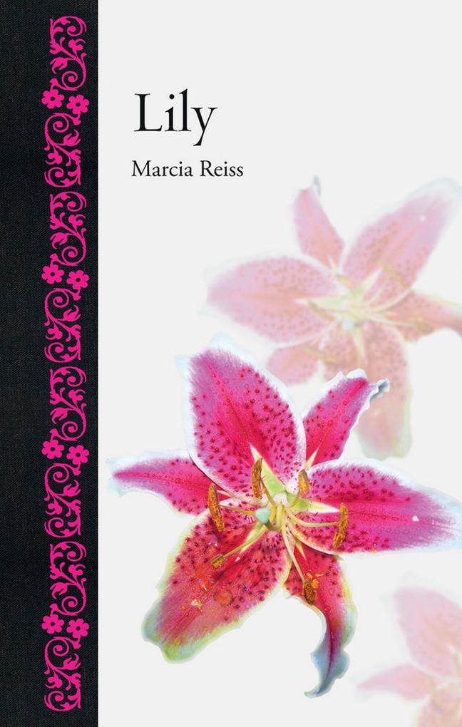 Lily als eBook Download von Marcia Reiss - Marcia Reiss