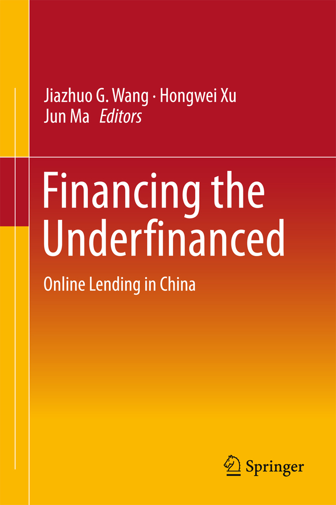 Financing the Underfinanced als eBook Download von