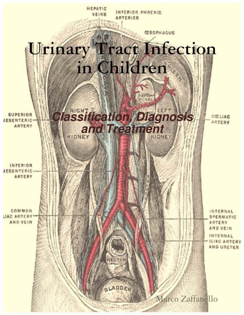 Urinary Tract Infection in Children - Classification, Diagnosis and Treatment als eBook Download von Marco Zaffanello - Marco Zaffanello