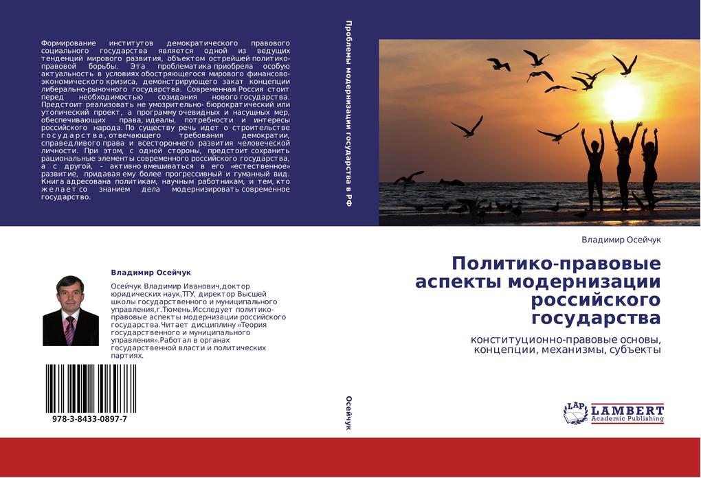 Politiko-pravovye aspekty modernizatsii rossiyskogo gosudarstva als Buch von Vladimir Oseychuk - Vladimir Oseychuk
