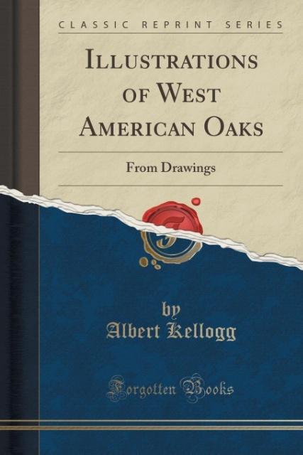 Illustrations of West American Oaks als Taschenbuch von Albert Kellogg - 1331901537