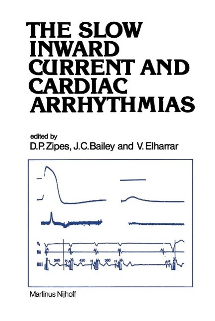Slow Inward Current and Cardiac Arrhythmias als eBook Download von