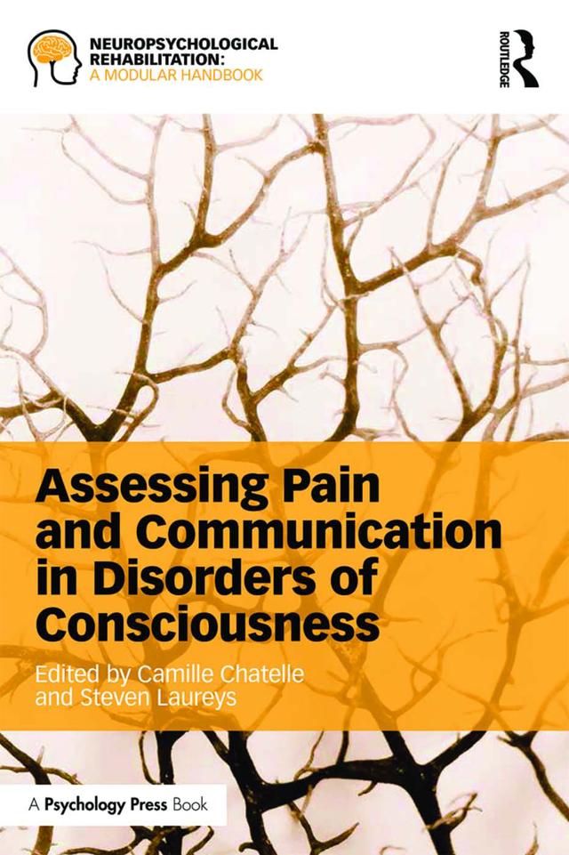 Assessing Pain and Communication in Disorders of Consciousness als eBook Download von