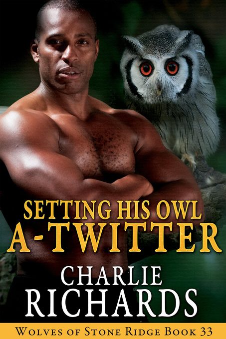 Setting His Owl A-Twitter als eBook Download von Charlie Richards - Charlie Richards