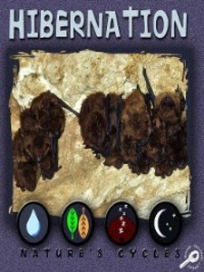 Hibernation als eBook Download von Mel Higginson - Mel Higginson