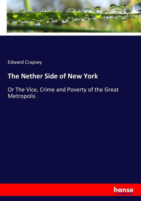The Nether Side of New York als Buch von Edward Crapsey