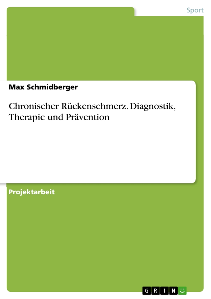 Chronischer Rückenschmerz. Diagnostik, Therapie und Prävention als eBook Download von Max Schmidberger - Max Schmidberger