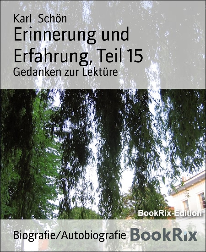 Erinnerung und Erfahrung, Teil 15 als eBook Download von Karl Schön - Karl Schön