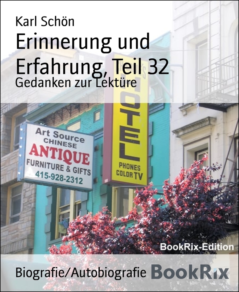 Erinnerung und Erfahrung, Teil 32 als eBook Download von Karl Schön - Karl Schön