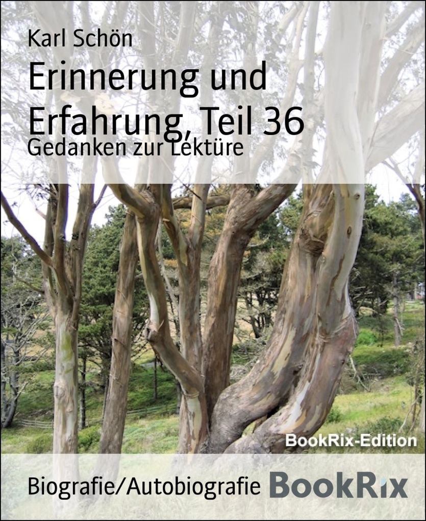 Erinnerung und Erfahrung, Teil 36 als eBook Download von Karl Schön - Karl Schön