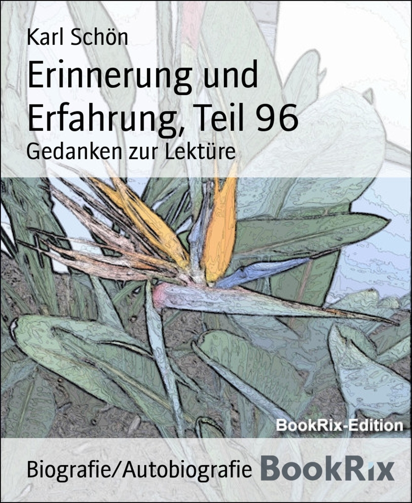 Erinnerung und Erfahrung, Teil 96 als eBook Download von Karl Schön - Karl Schön