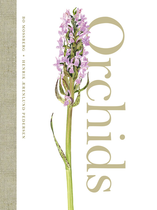Orchids als eBook Download von Henrik Aerenlund Pedersen, Bo Mossberg - Henrik Aerenlund Pedersen, Bo Mossberg