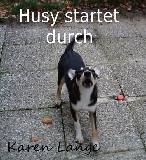Husy startet durch als eBook Download von Karen Lange - Karen Lange